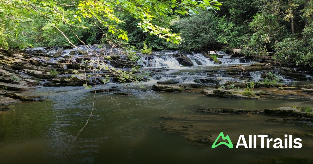Zarters Carters Lake - hikes and trails to get you there | AllTrails