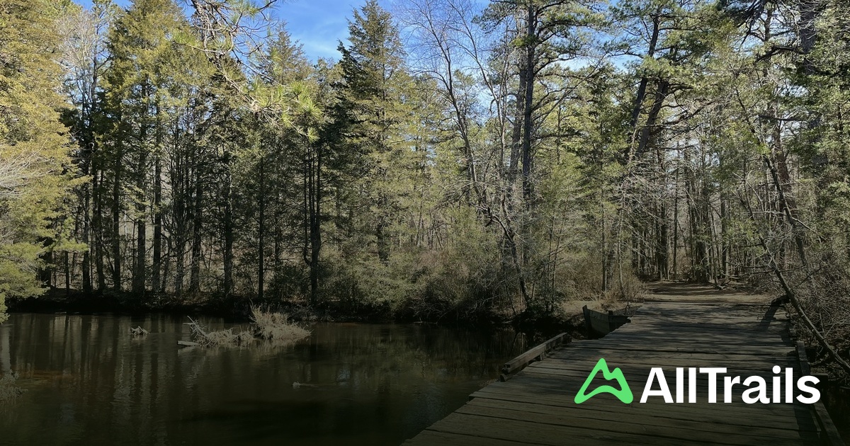 Oswego River hikes and trails - Us New Jersey Egg Harbor City Oswego River 2 3000305 20250713152326609102 1200x630 3 41752484375