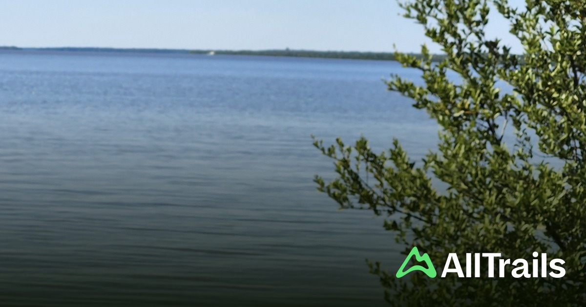 Barron River hikes and trails - Us Florida Everglades Barron River 2 3008660 20250713151642389236 1200x630 3 41752508684