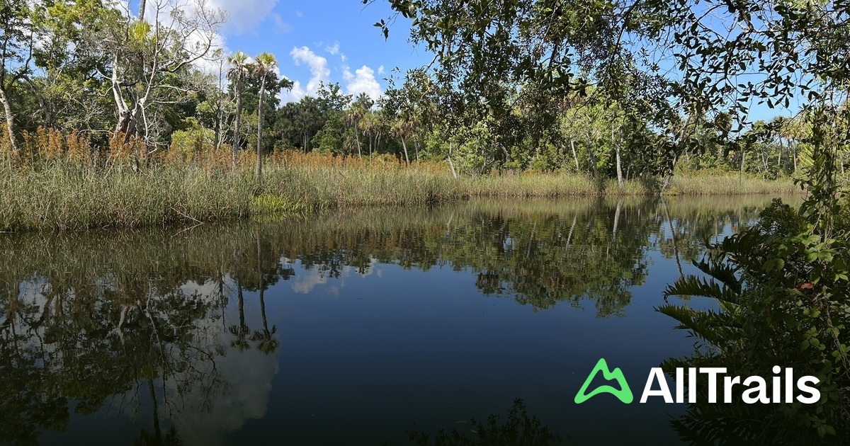 Pithlachascotee River hikes and - Us Florida New Port Richey Pithlachascotee River 3017334 20250713152346542967 1200x630 3 41752500283 