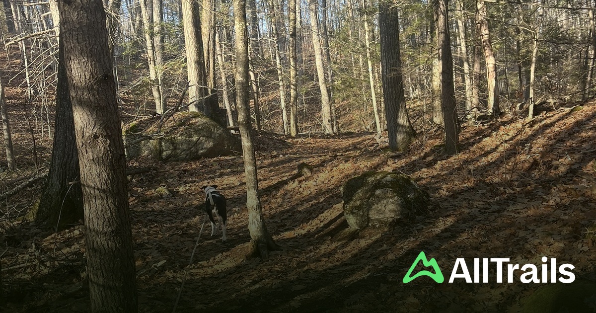 Round Pond hikes and trails to - Us New Hampshire Barrington Round Pond 2 3025288 20250713152402984881 1200x630 3 41752508899