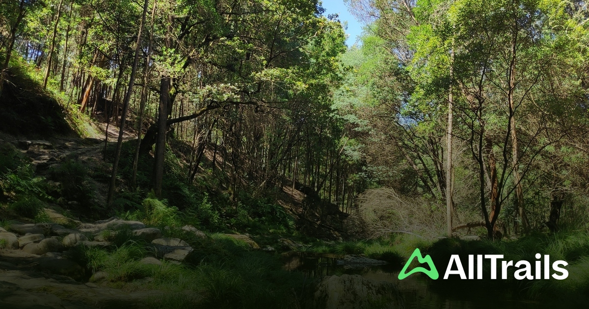 Parque de Merendas de São João de Amonde - hikes and trails to get you ...