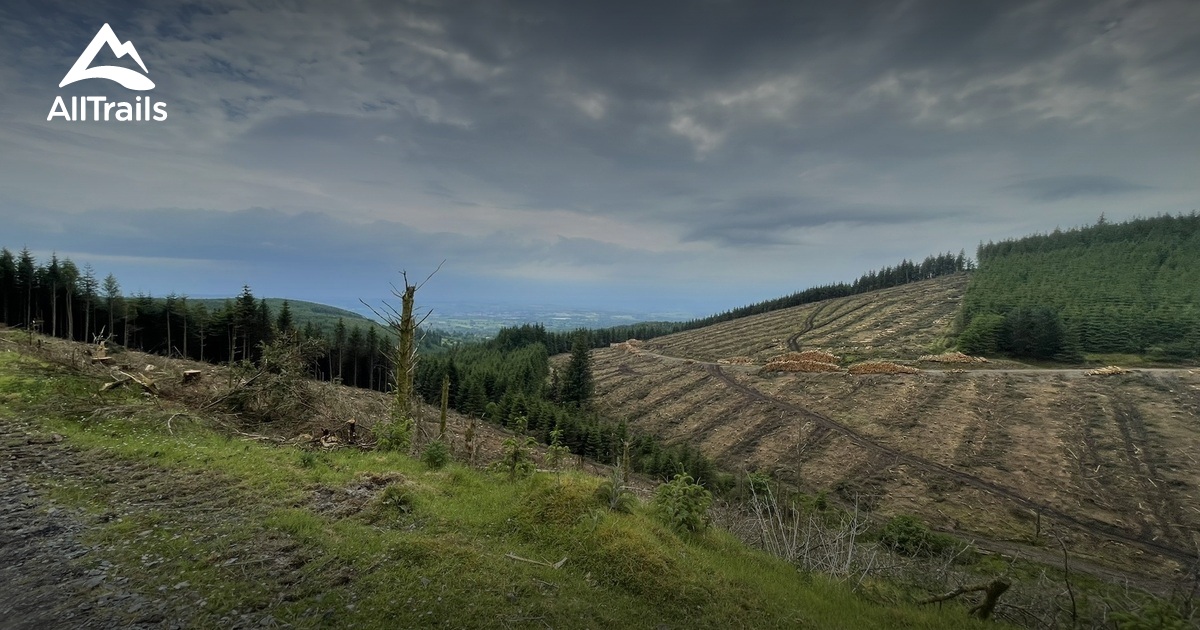 Knocknalanveen - hikes and trails to get you there | AllTrails