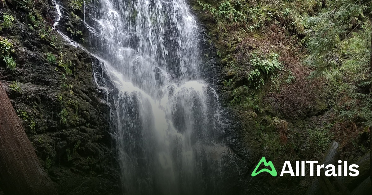 Mount McAbee Overlook - hikes and trails to get you there | AllTrails