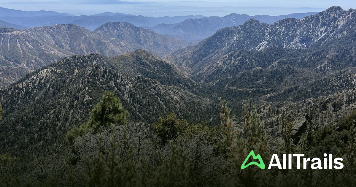 Kratka Ridge - hikes and trails to get you there | AllTrails