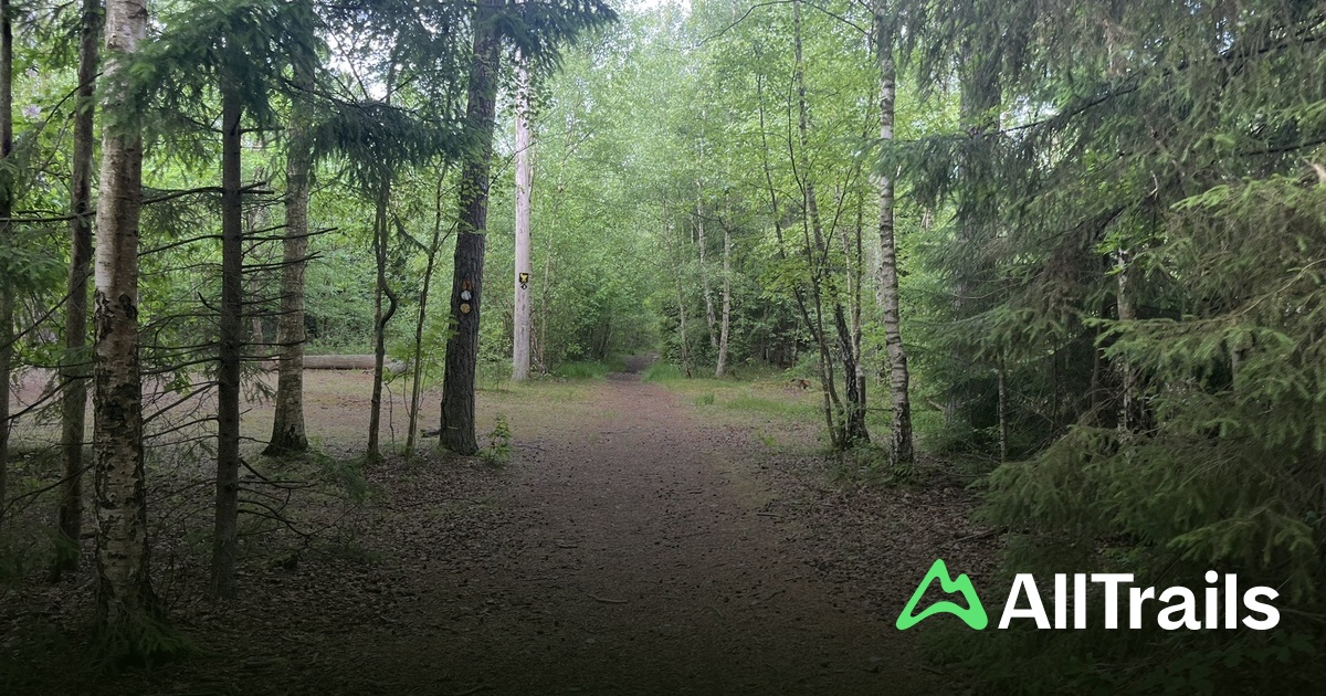Rönne å - hikes and trails to get you there | AllTrails