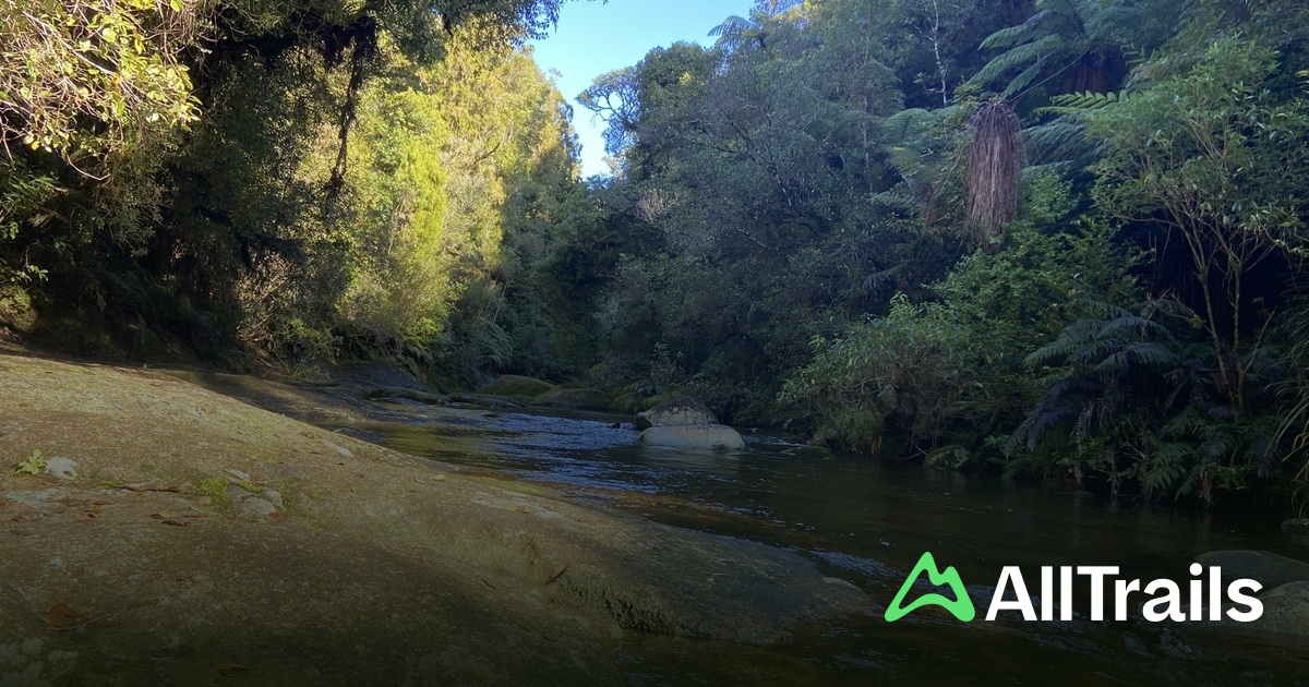 Kaimai Rivers Ngāumuwahine River - hikes and trails to get you there | AllTrails
