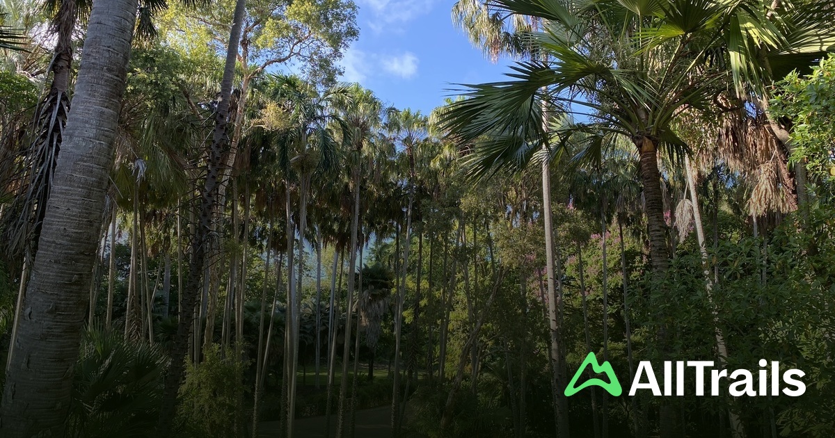 Rainforest Loop - hikes and trails to get you there | AllTrails