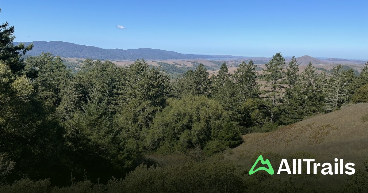 Crystal Springs - hikes and trails to get you there | AllTrails