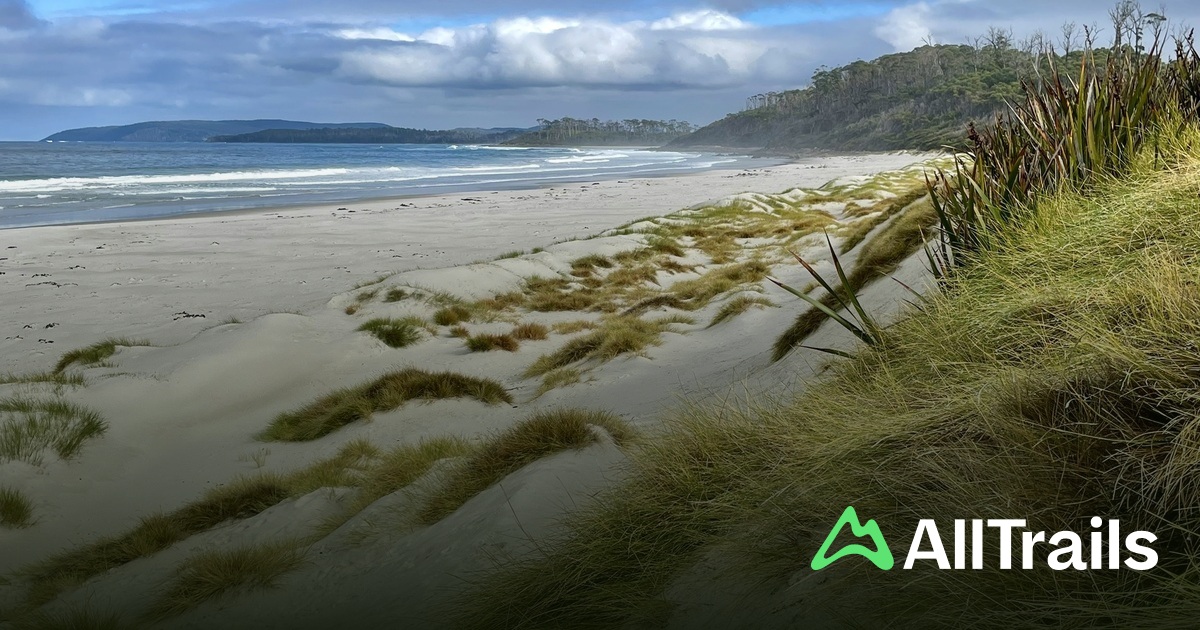 Elliot Beach - hikes and trails to get you there | AllTrails