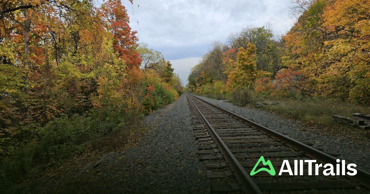 Fifty Road Cascade - hikes and trails to get you there | AllTrails
