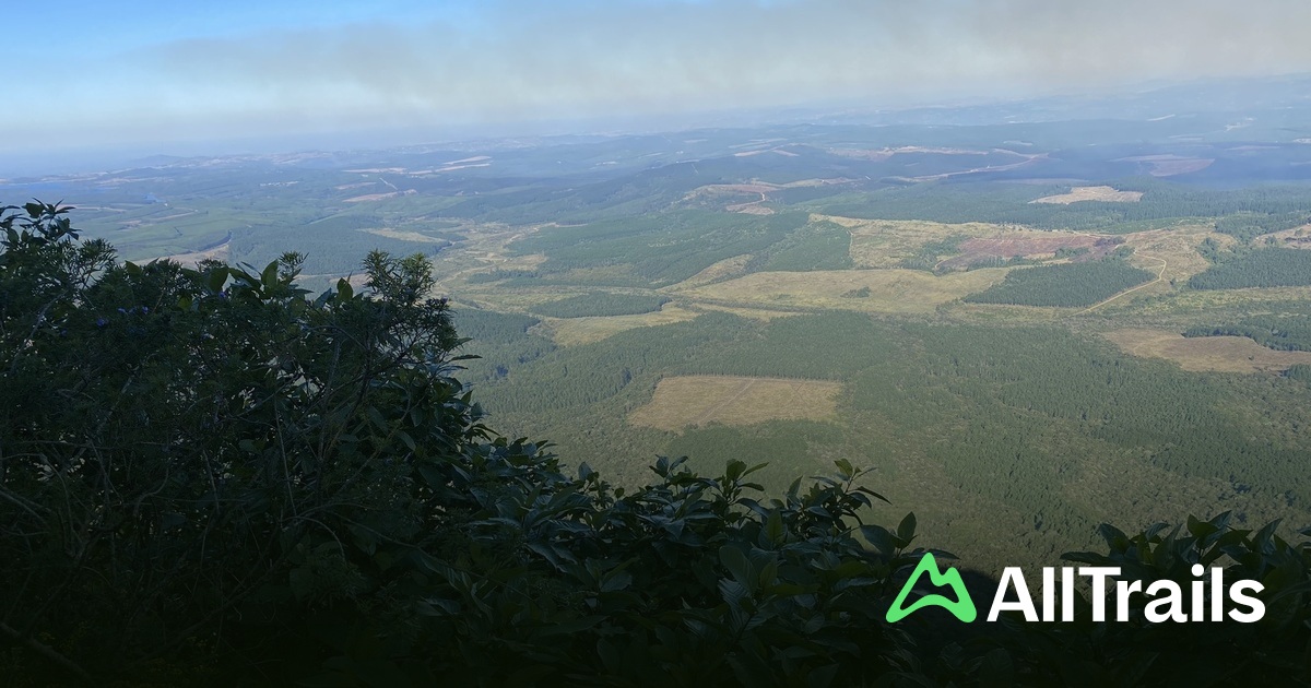 Gods Window - hikes and trails to get you there | AllTrails