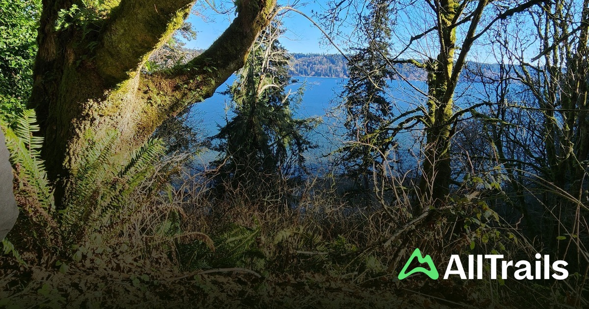Anderson Point - hikes and trails to get you there | AllTrails