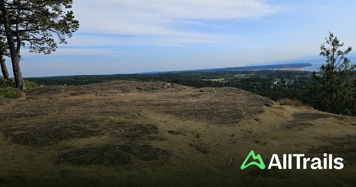 Gun Point Florida Gun Point - hikes and trails to get you there | AllTrails
