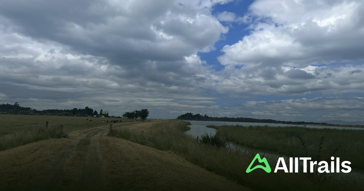 Kaimai Rivers Kaiapoi River - hikes and trails to get you there | AllTrails