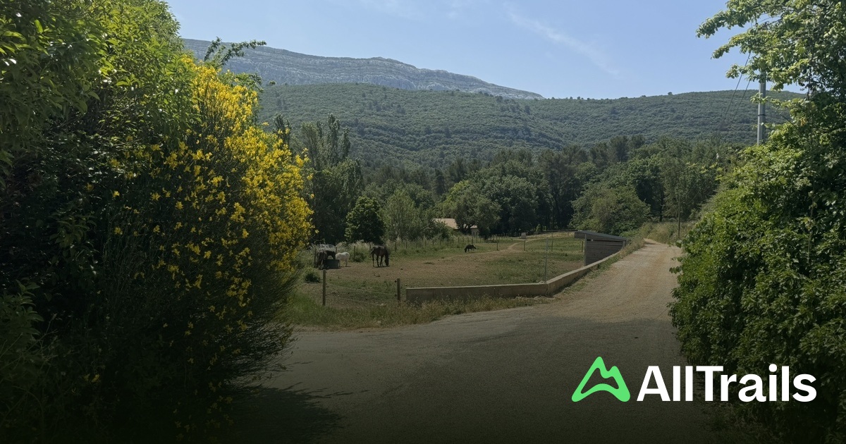 Sainte-Croix - hikes and trails to get you there | AllTrails