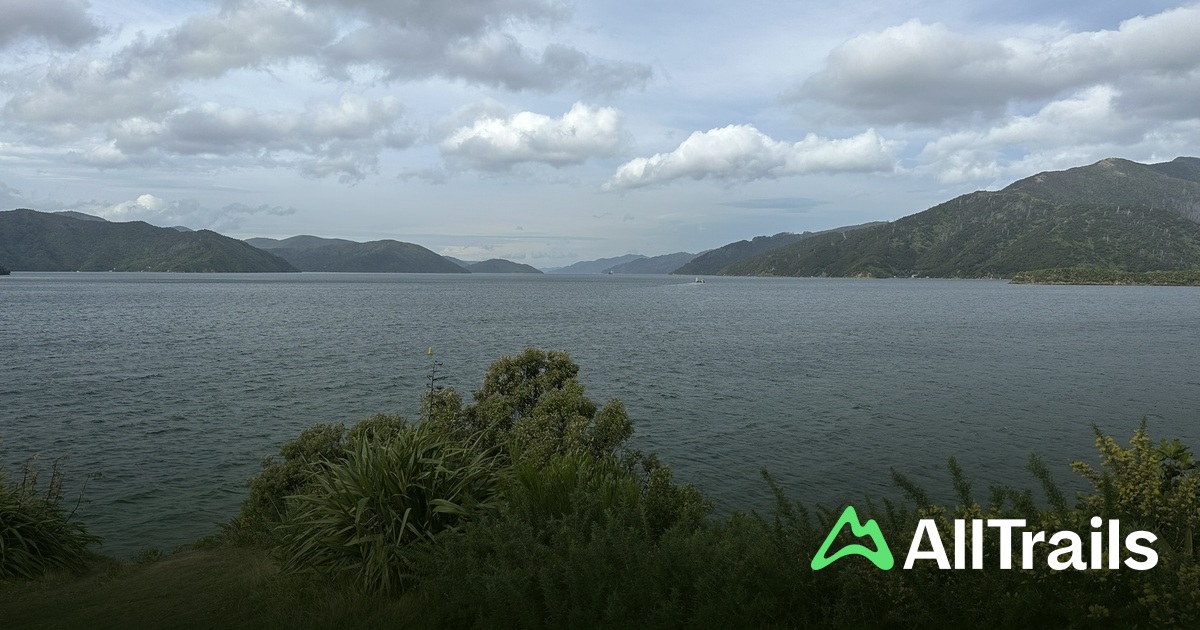 Queen Charlotte View - hikes and trails to get you there | AllTrails