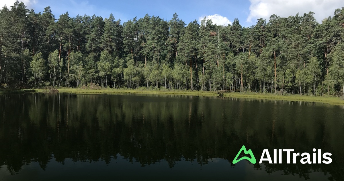 Krutynia : les 10 meilleurs itinéraires à proximité | AllTrails