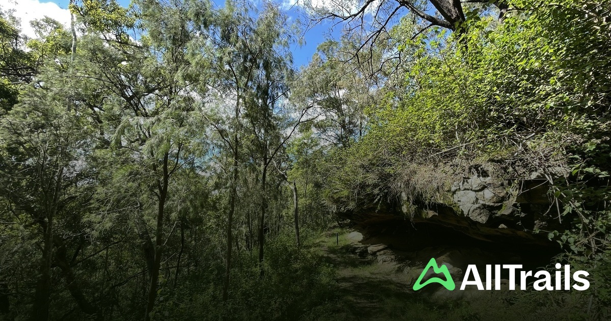 Blackbean Day Use Area - hikes and trails to get you there | AllTrails