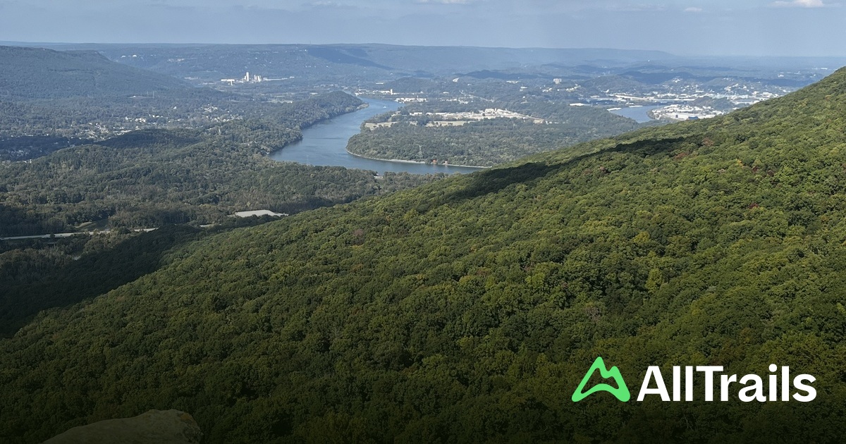 Ruby Falls Rope Bridge Ruby Falls - hikes and trails to get you there | AllTrails
