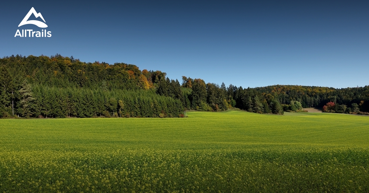 Pfaffenberg Pfaffenberg - hikes and trails to get you there | AllTrails