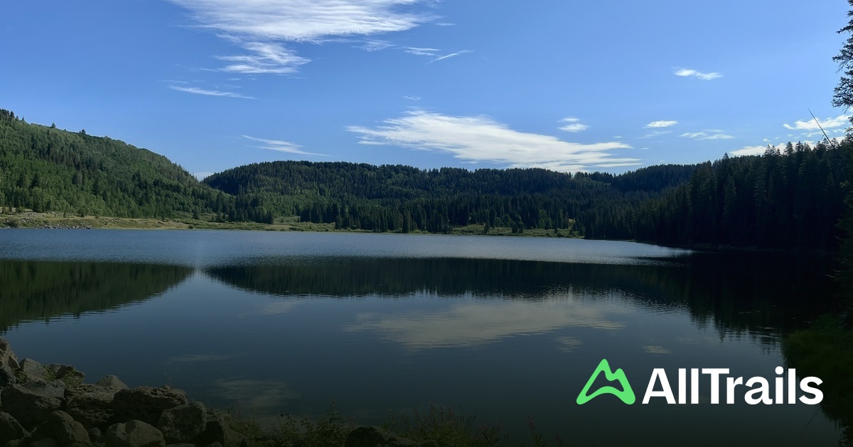 Carson Lake - hikes and trails to get you there | AllTrails