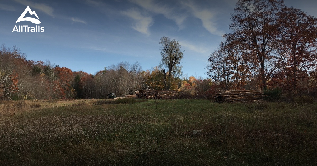 Best trails near Tully Mountain AllTrails