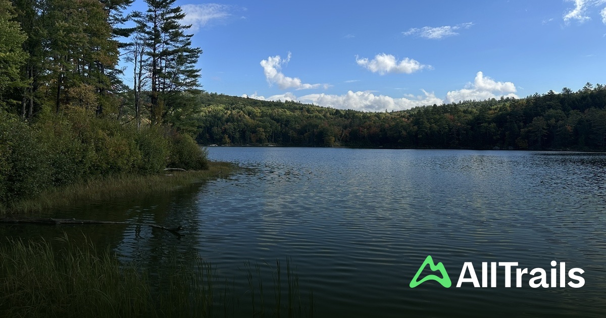 Boston Lot Lake - hikes and trails to get you there | AllTrails