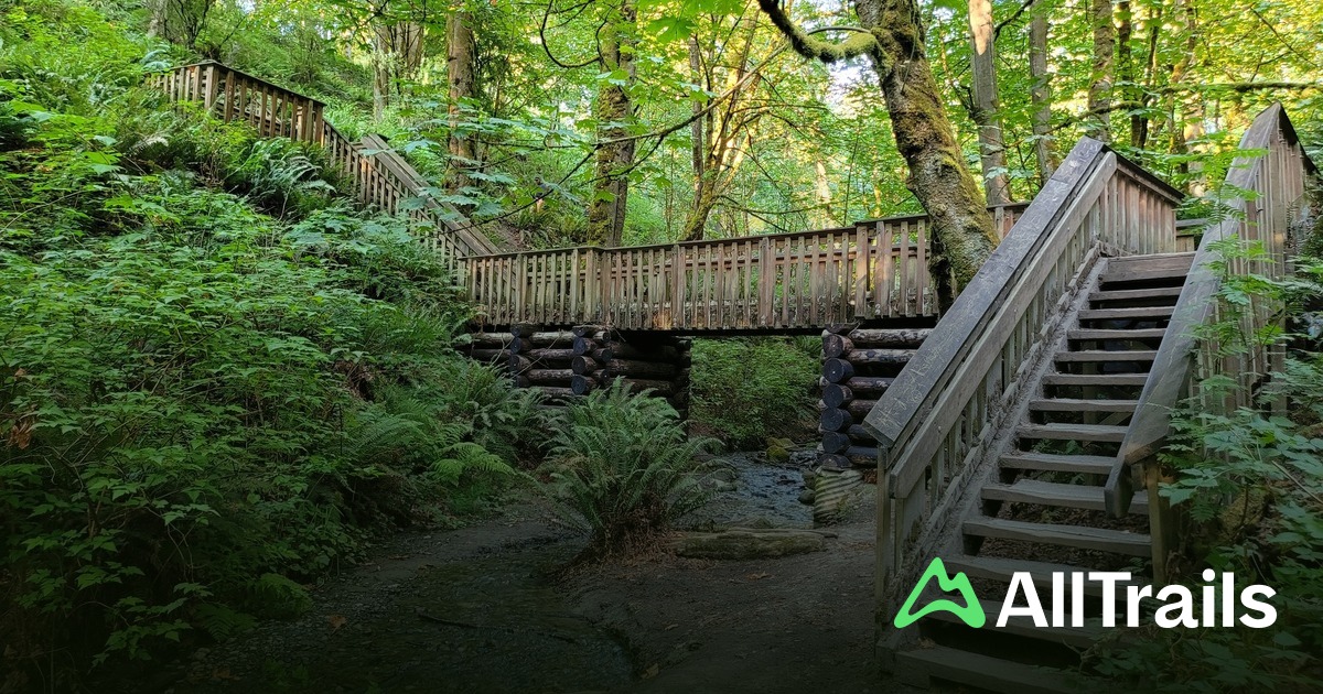 Dash Point Campground - hikes and trails to get you there | AllTrails