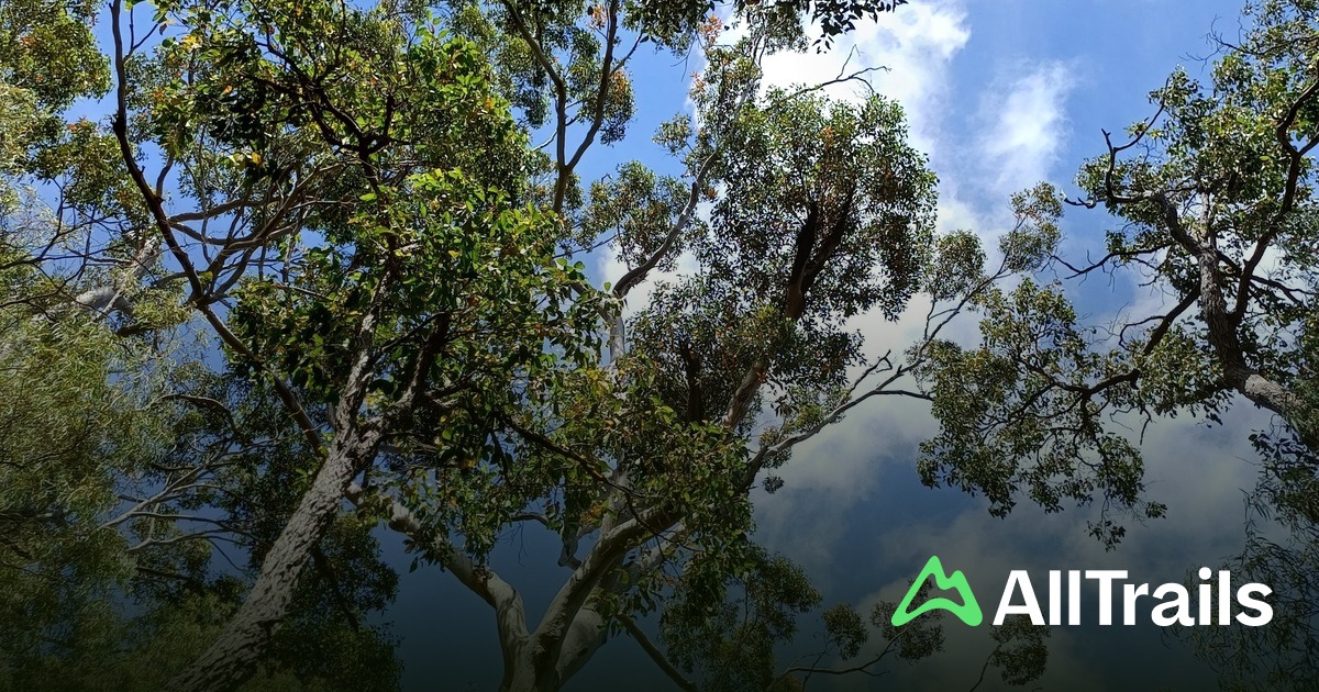 Deepdene Map Moondyne Cave - hikes and trails to get you there | AllTrails