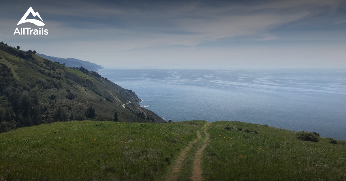 Timber Top - hikes and trails to get you there | AllTrails
