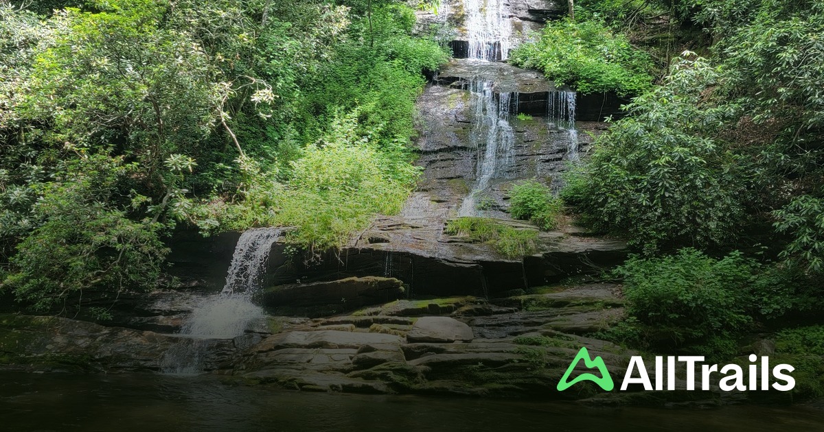 Near Nick Nick's Nest Branch #58 - hikes and trails to get you there | AllTrails