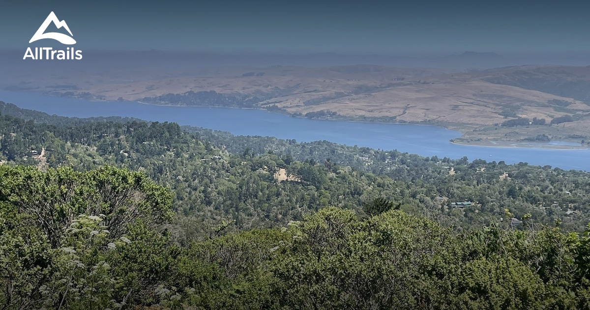 Mount Vision - hikes and trails to get you there | AllTrails