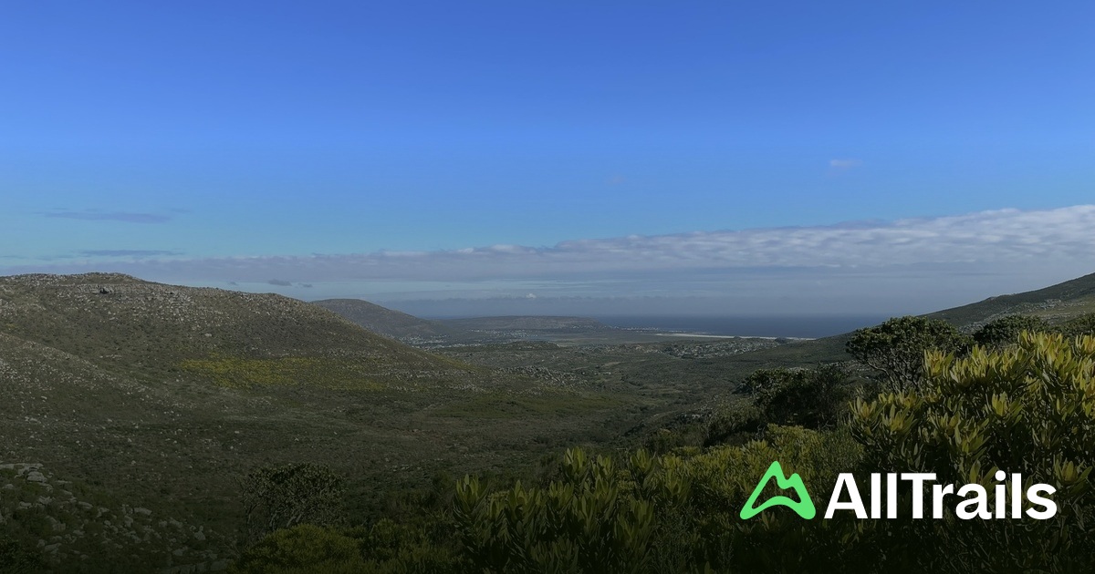 Best trails near Circuit Boulder | AllTrails