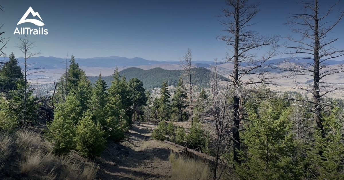 Best Trails near Scratchgravel Hills AllTrails