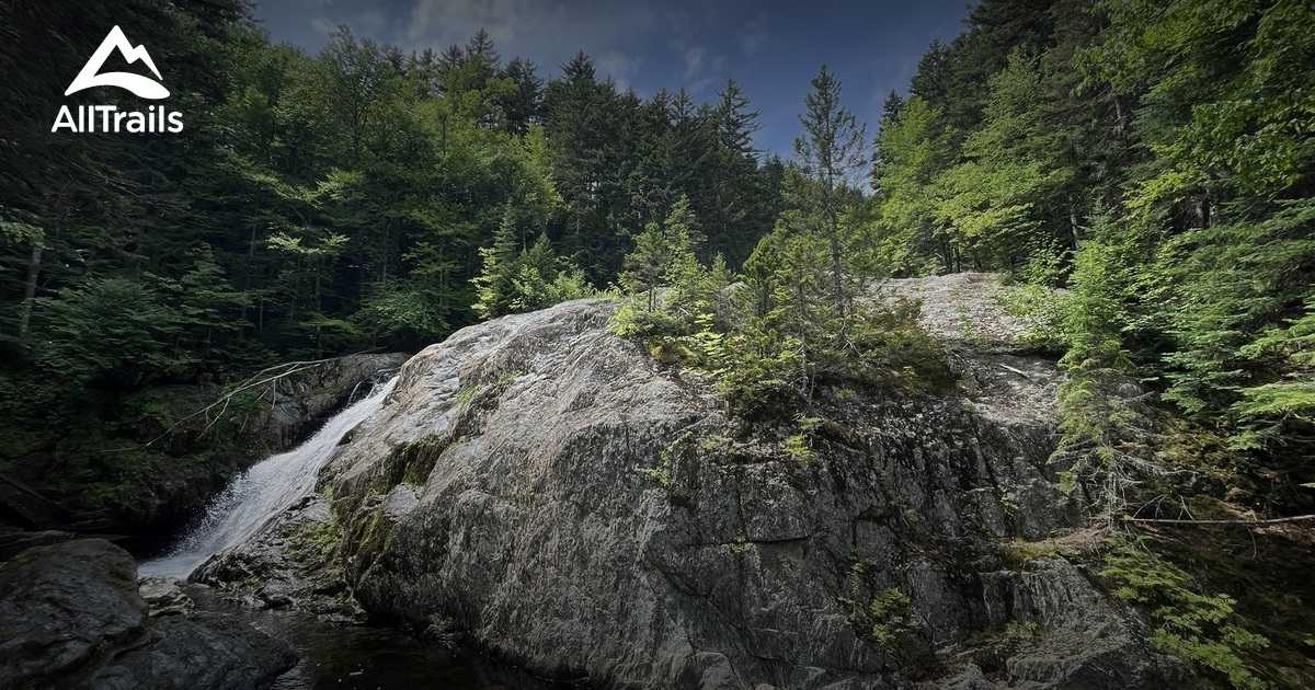 Garfield Falls - hikes and trails to get you there | AllTrails