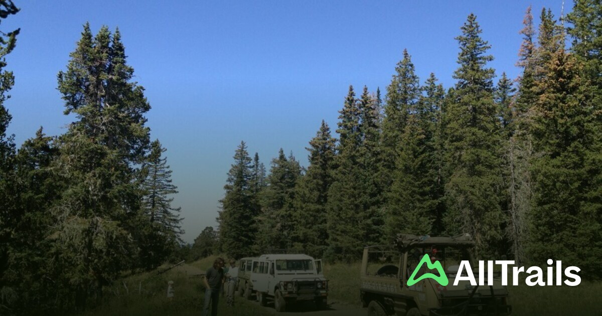 Davis Willow Dispersed Camping Area: Die besten Routen in der Umgebung ...
