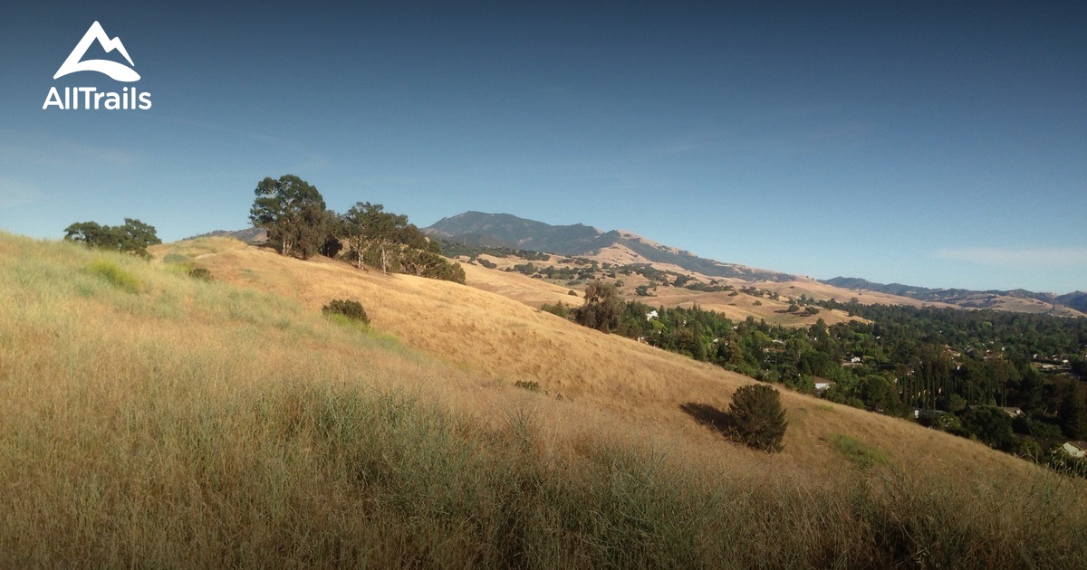 June Bulman Grove Overlook - hikes and trails to get you there | AllTrails