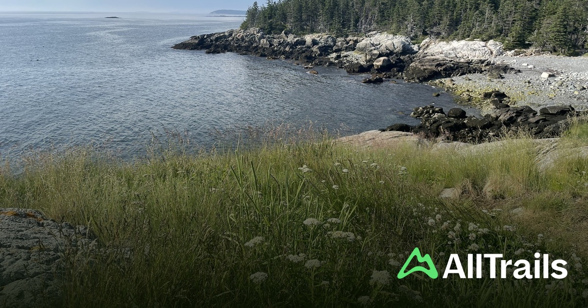 Sharks Point Beach - hikes and trails to get you there | AllTrails