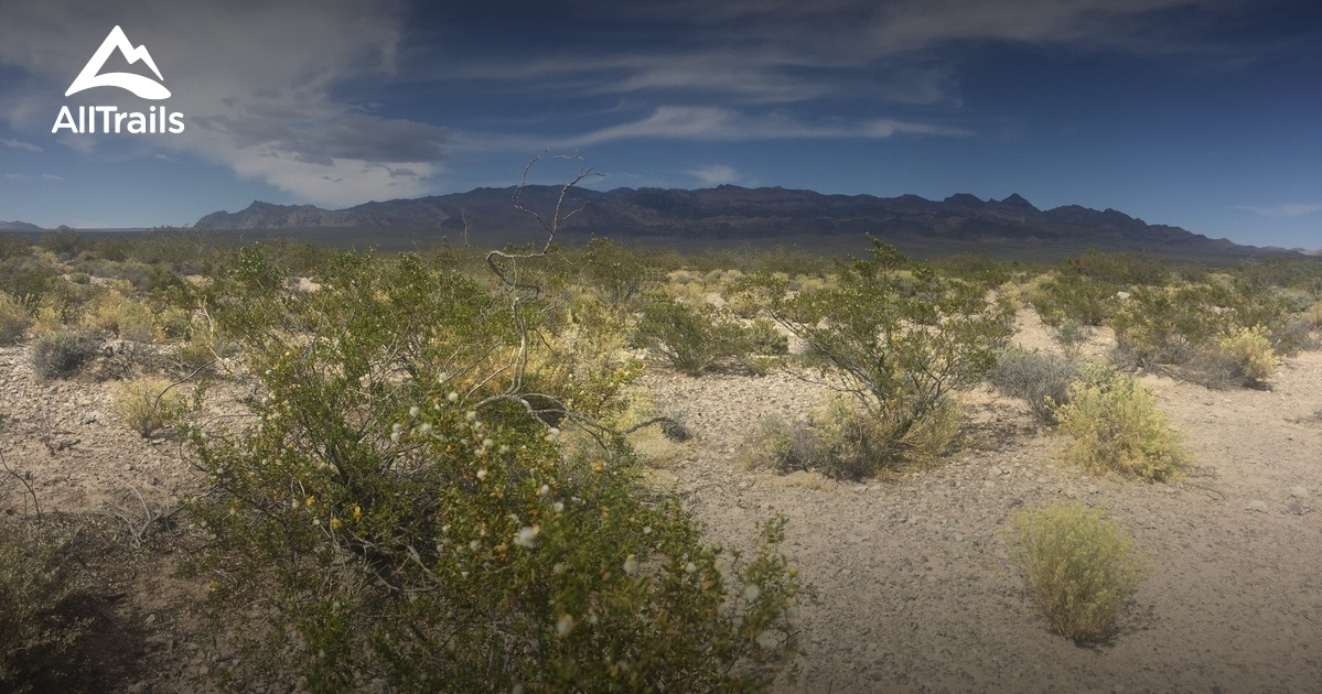 Best trails near Corn Creek Dunes | AllTrails