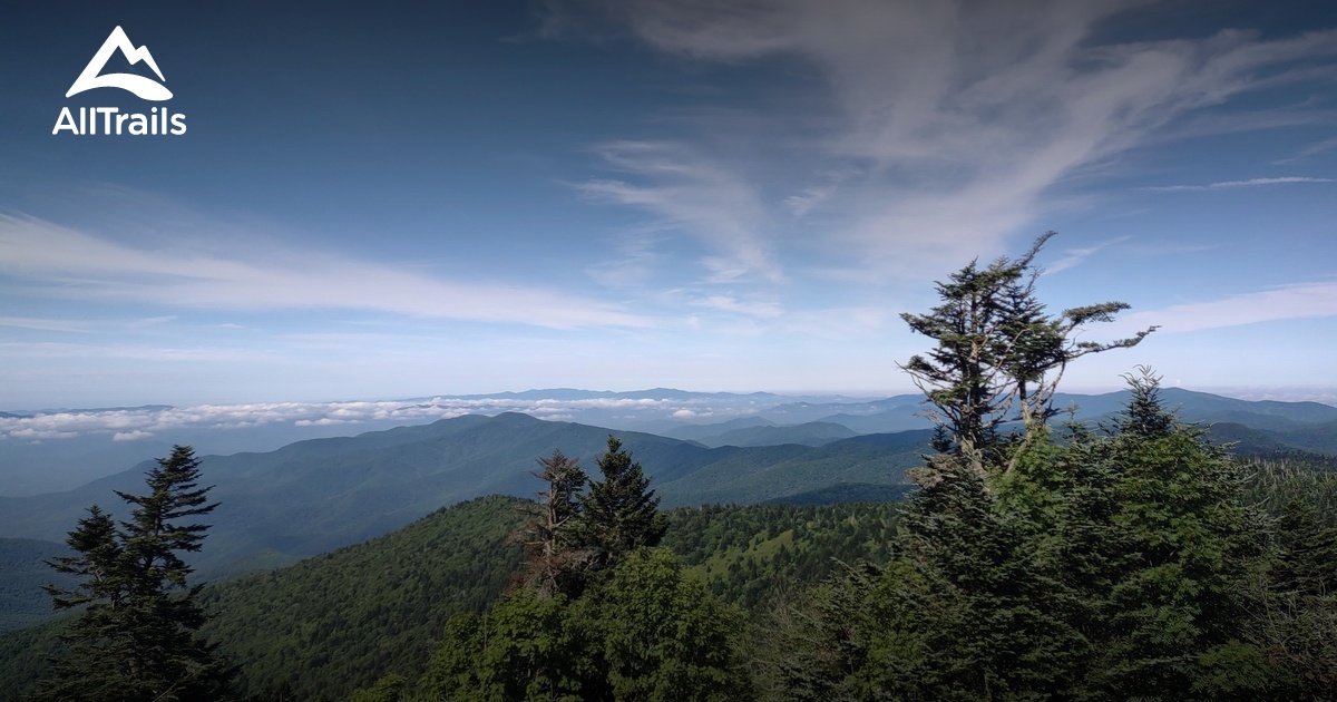 Yanu Branch Cascade - hikes and trails to get you there | AllTrails