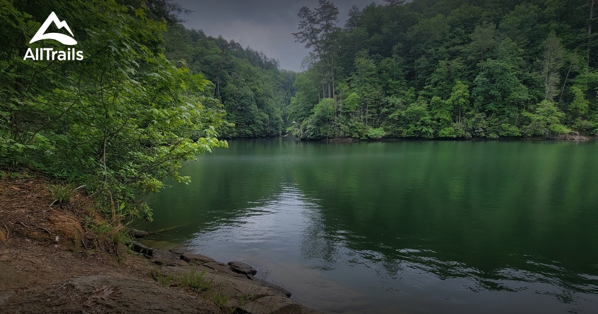 Die besten Routen in der Nähe von Laurel Fork Falls AllTrails