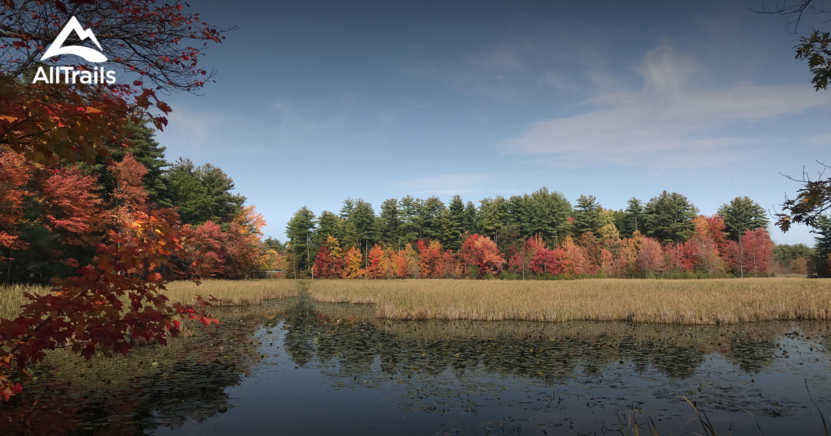 Bella Hill - hikes and trails to get you there | AllTrails