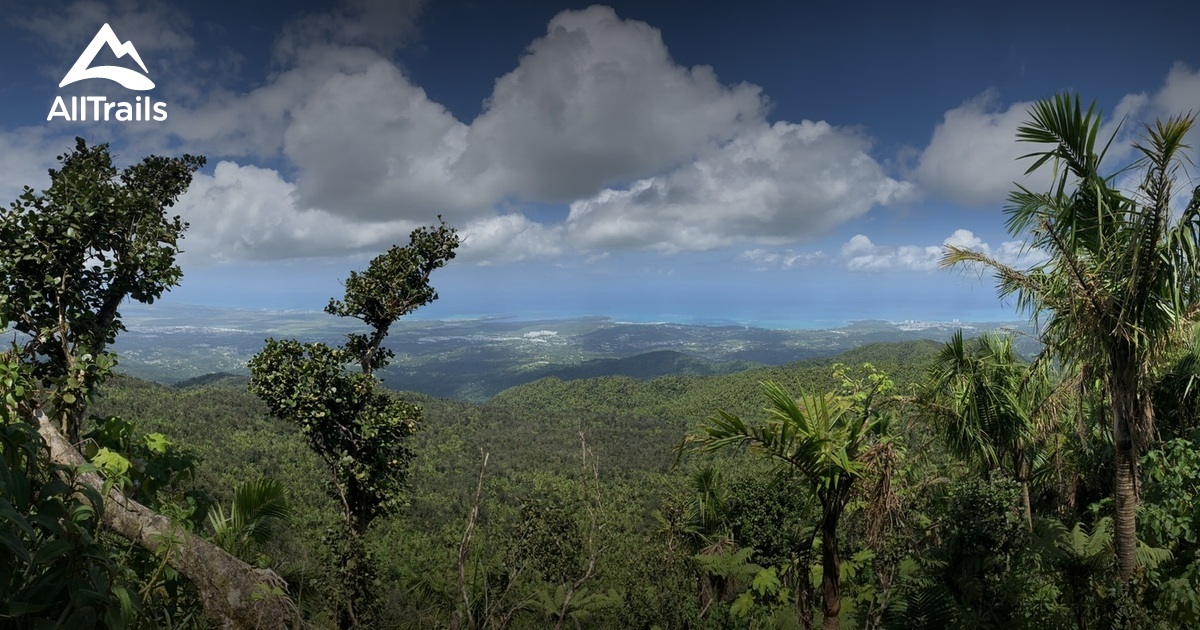 Best trails near Roca El Yunque AllTrails