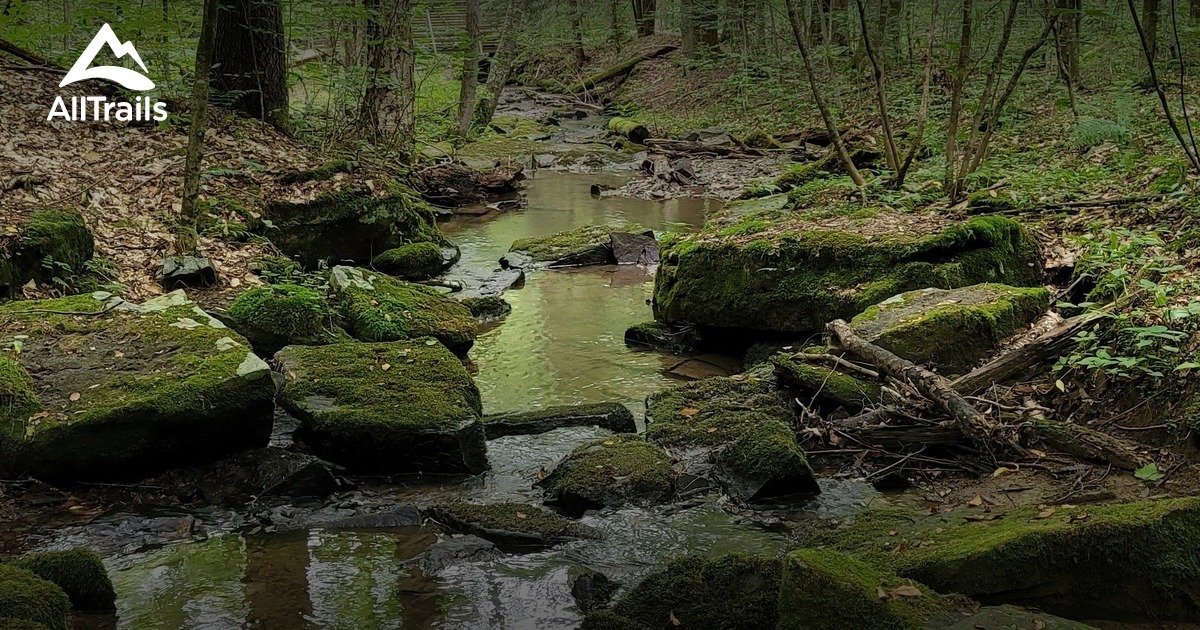 Mount Mohawk - hikes and trails to get you there | AllTrails