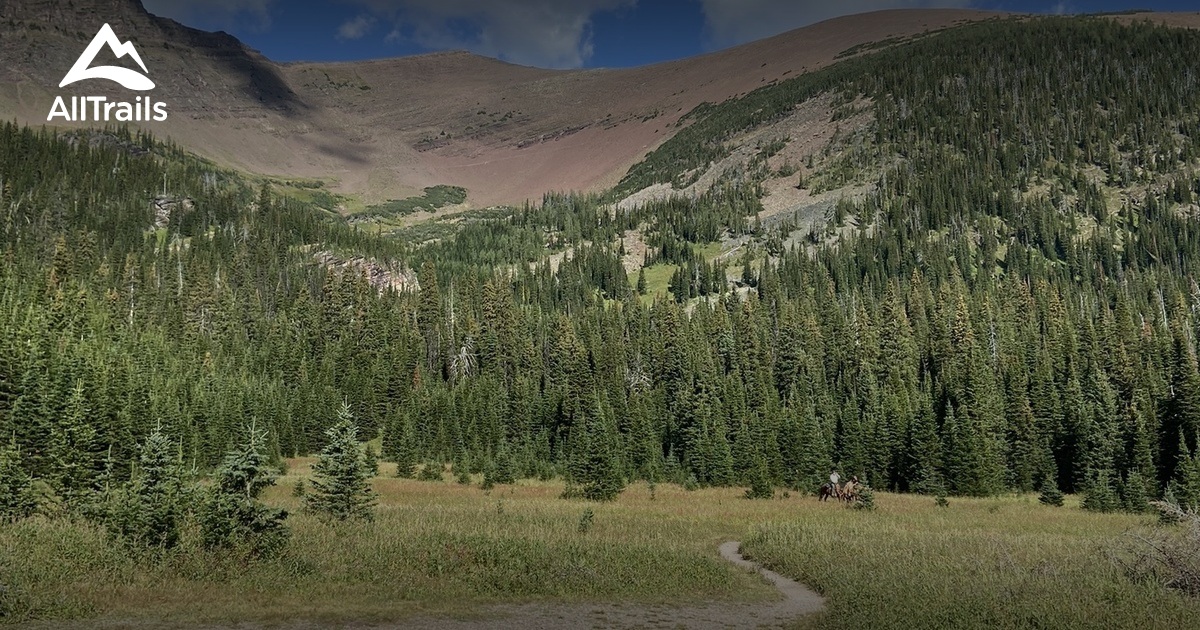 Mount Lineham - hikes and trails to get you there | AllTrails
