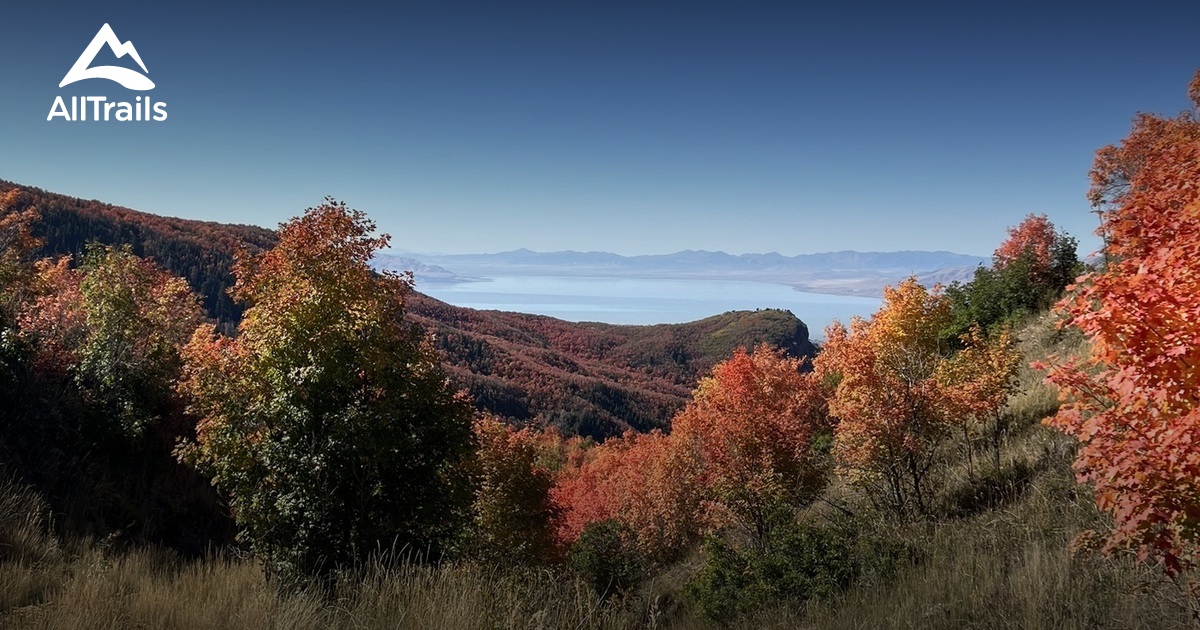 Battle Creek Falls - hikes and trails to get you there | AllTrails