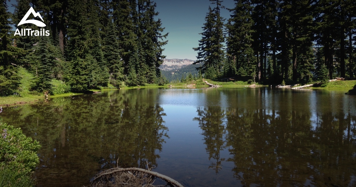 Nannie Ridge Nannie Peak - hikes and trails to get you there | AllTrails