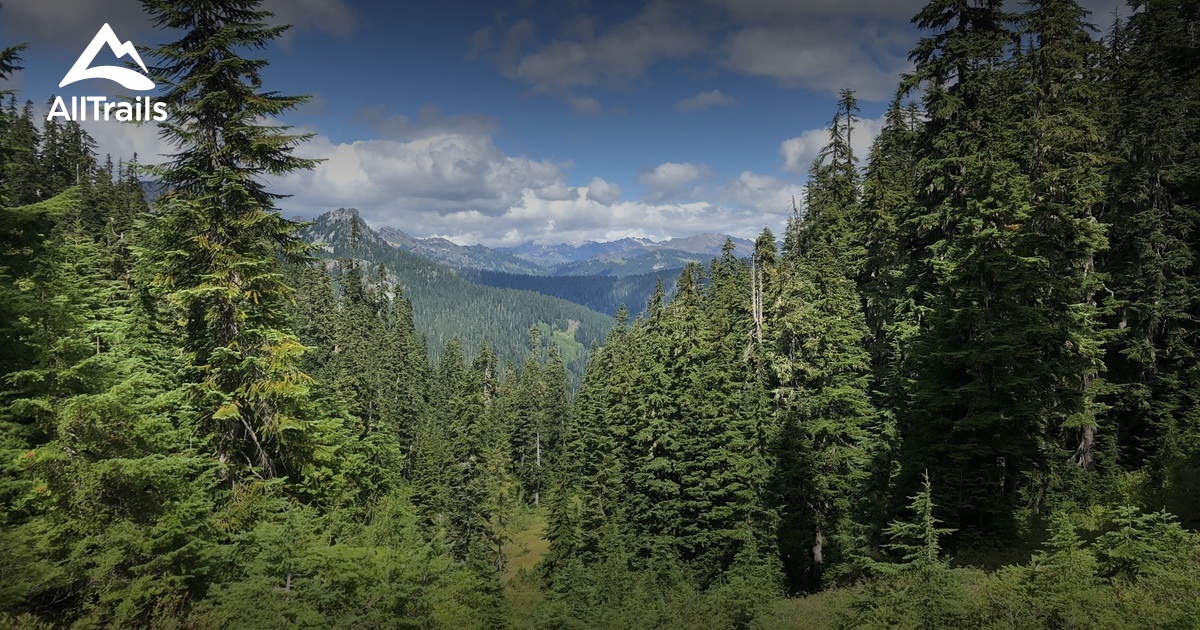 Grizzly Peak - hikes and trails to get you there | AllTrails