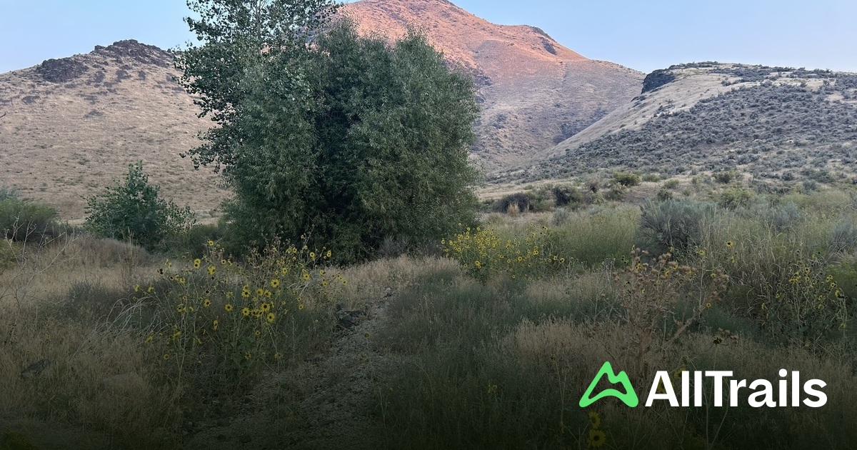 Snively Hot Springs - hikes and trails to get you there | AllTrails